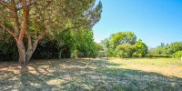 maison à ST ANDRE DE CUBZAC (33240)